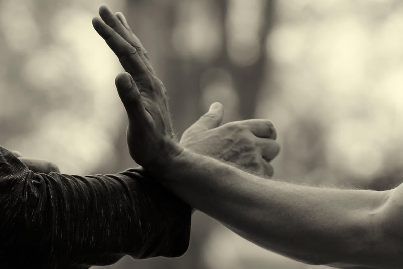 Sun Style Tai Chi